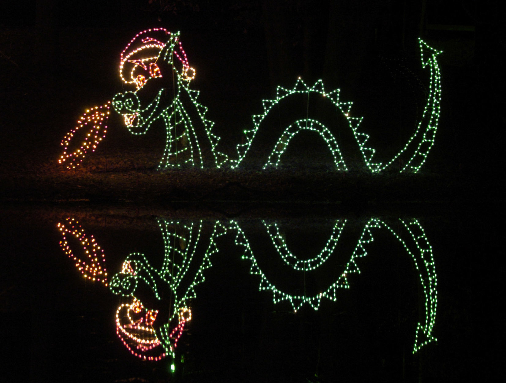 FESTIVAL OF LIGHTS 2007